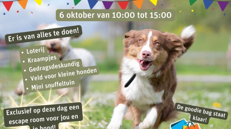 Dierendag Festival voor uw trouwe viervoeter