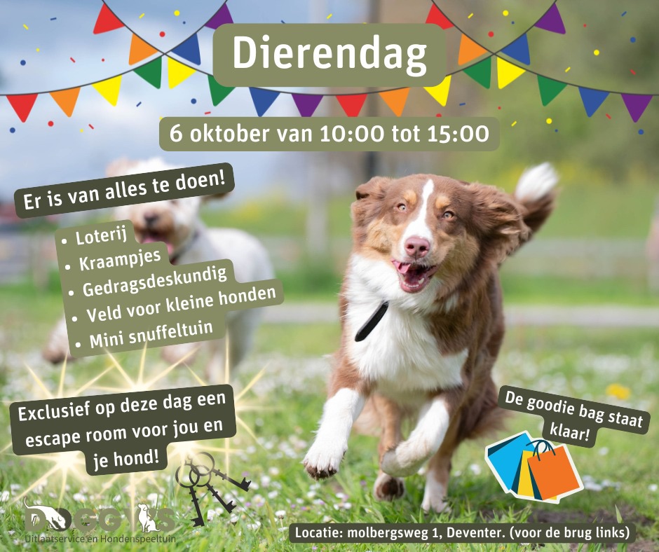 Dierendag Festival voor uw trouwe viervoeter