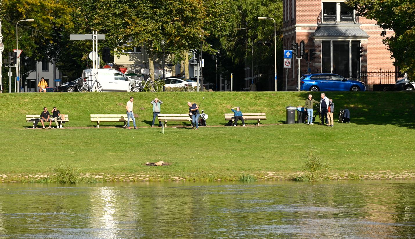 Zesde Golftoernooi door de Deventer Parken brengt een mooie duit op voor goede doelen